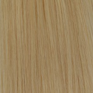 AM Premium Tresse Champagnenblond